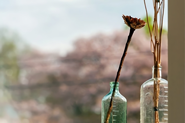 2つの花瓶に１本ずつ花が刺さっている